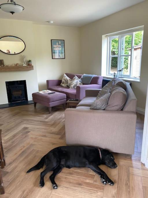 Lovely Quiet Cottage Sleeps 4 Adults, 4 Children, Dog Friendly Cley next the Sea Buitenkant foto